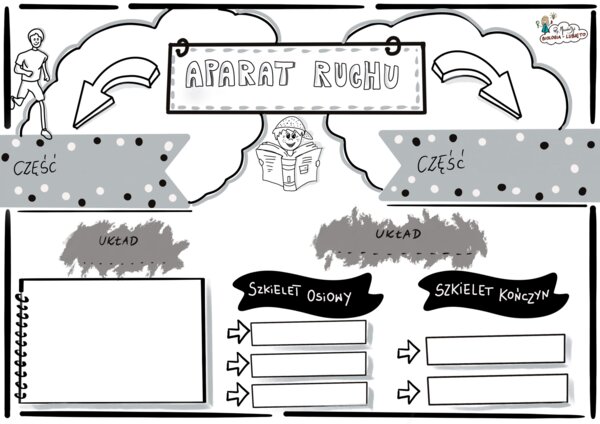 Klasa 7 - Aparat ruchu -KP