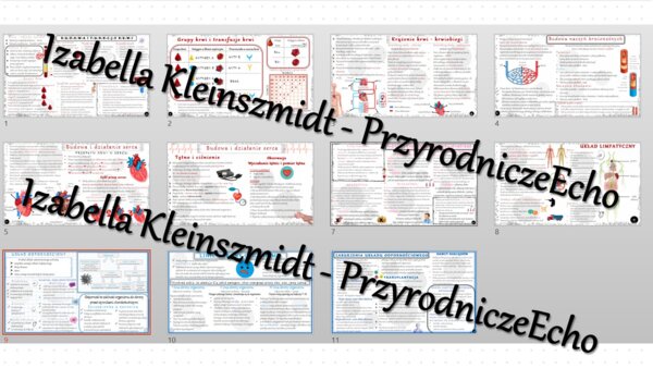 Zestaw sketchnotek – notatek do całego działu „Układ krążenia” wykonanych w power point do edycji. Biologia 7