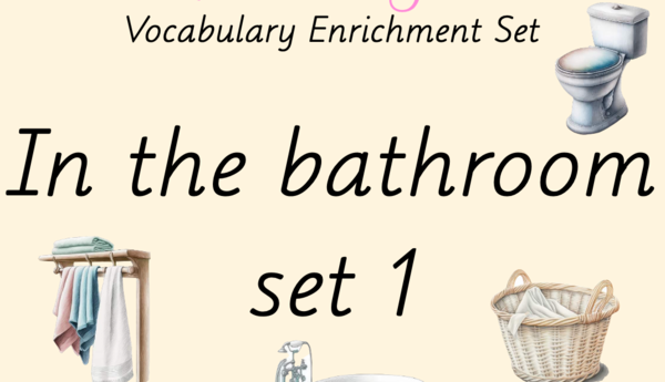 Zestaw kart obrazkowych: IN THE BATHROOM SET 1