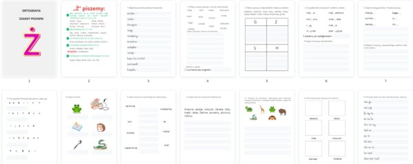 Zasady ortograficzne z Ż + zadania