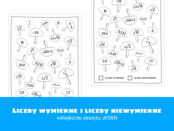 Matematyka. Klasa 8. Liczby wymierne i liczby niewymierne. Wklejka do zeszytu. Jesień. Szkoła podstawowa.