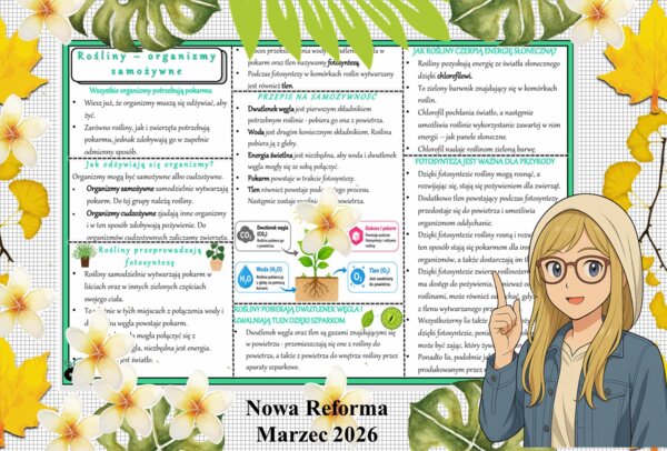Sketchnotka/notatka - dla ucznia i przypomnienie dla nauczyciela w pdf. Temat "Rośliny - organizmy samożywne". Przyroda 4. "Odkrywam przyrodę" zgodna z wydawnictwem Nowa Era. Dział "Jak działają organizmy?".
