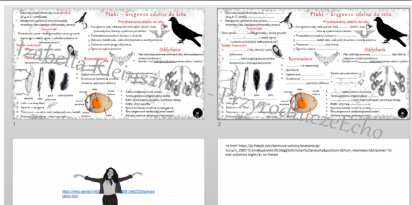 Mini zestaw do tematu „Ptaki – kręgowce zdolne do lotu’ – sketchnotka i karta pracy w pdf + gratisowy link do prezentacji multimedialnej niekomercyjnej wykonanej w genial.ly do indywidualnego pobrania i użycia do celów niekomercyjnych. Biologia 6, dział 