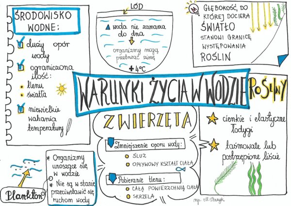 Warunki życia w wodzie