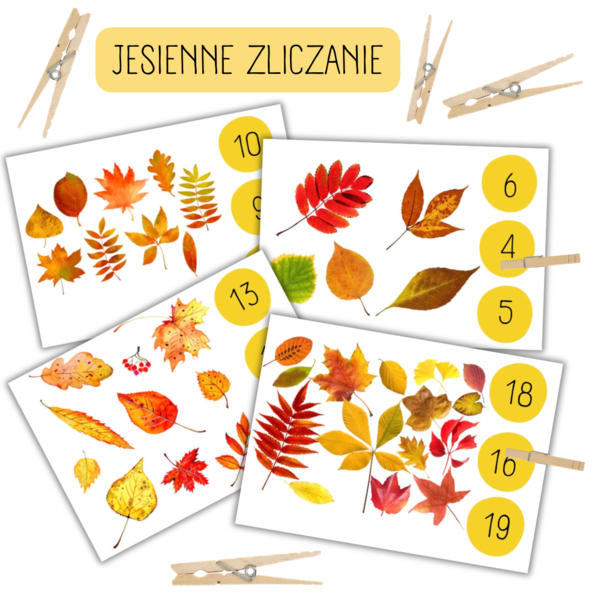 Jesienne zliczanie - liczenie obiektów w zakresie 20.