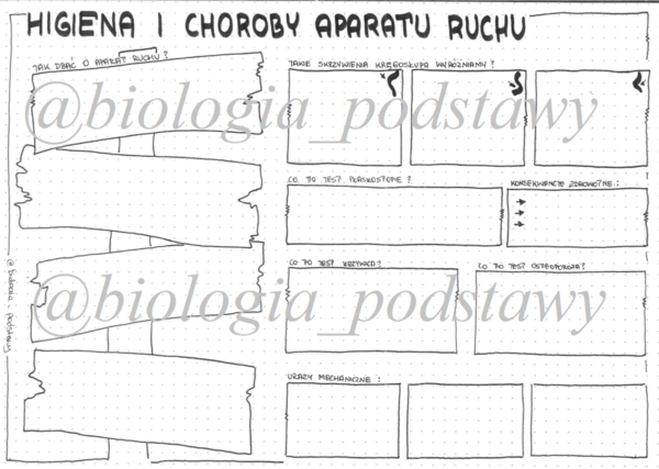 Klasa 7 - Higiena i choroby aparatu ruchu - sketchnotka KP