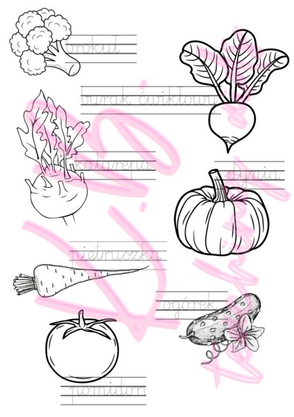 Jesień w polu i ogrodzie