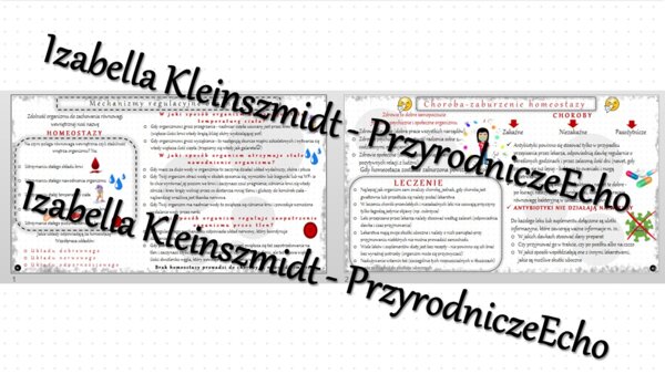 Zestaw sketchnotek – notatek do całego działu „Równowaga wewnętrzna organizmu” wykonanych w power point do edycji. Biologia 7