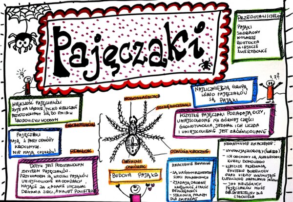 Klasa 6. Biologia. Pajęczaki (karta pracy kolorowa)