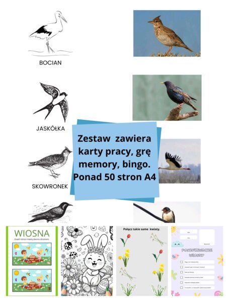 Karty pracy o tematyce wiosennej - symetria, budowa rośliny, bociana, wiosenne kwiaty, kodowanie itd.