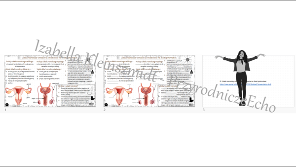 Minizestaw na temat „Układ rozrodczy umożliwia wydawanie na świat potomstwa” – sketchnotka + karta pracy w power point + gratisowy link do prezentacji multimedialnej niekomercyjnej wykonanej w genial.ly do indywidualnego pobrania i użycia do celów niekom
