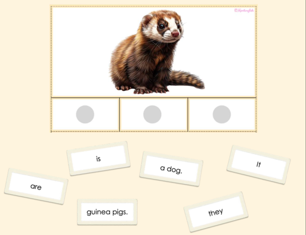 Karty 'It is' vs 'They are': sentence making (Pets vocab)