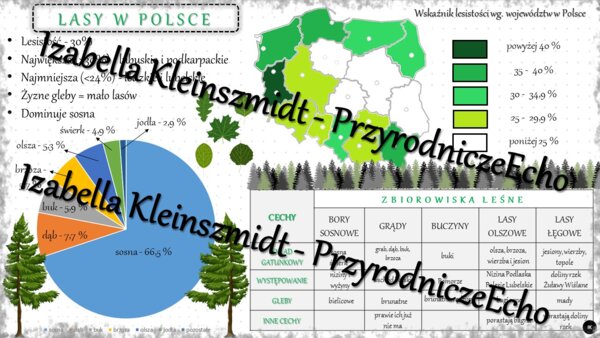 Sketchnotka - notatka „Lasy w Polsce” wykonana w power point do edycji. Geografia 7; „Środowisko przyrodnicze Polski”