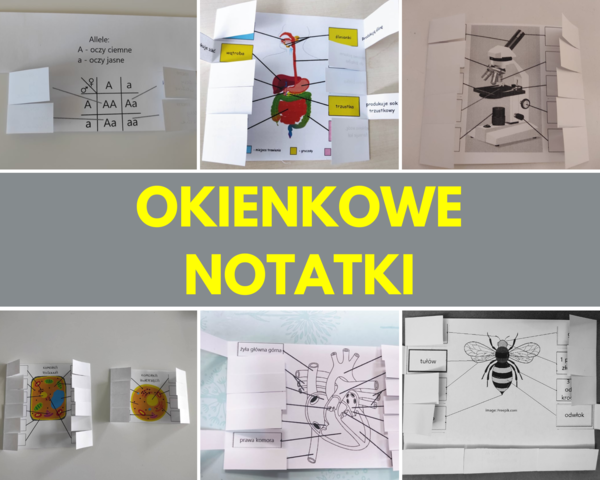 ZESTAW - Biologia - okienkowa notatka (19 notatek!)
