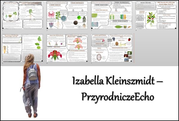 Zestaw sketchnotek/notatek/streszczeń/wklejek/ściąg dla ucznia i nauczyciela w pdf. Biologia 5 dział „Tkanki i organy roślinne”. Notatki zostały wykonane na podstawie podręcznika z wydawnictwa WSiP.