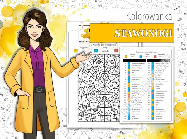 Klasa 6. Biologia. Stawonogi. Biologiczna kolorowanka. Karta pracy. Zadanie.