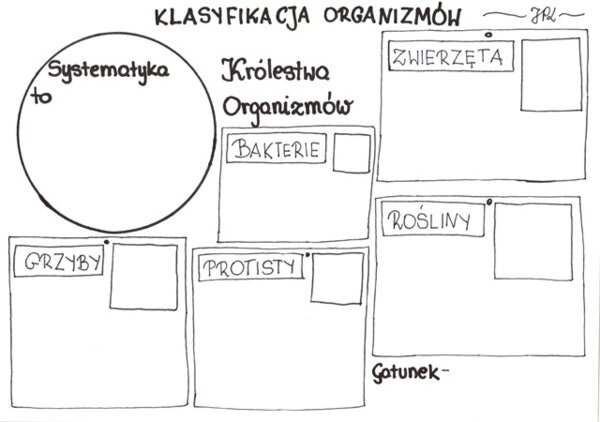Klasyfikacja organizmów (karta pracy)