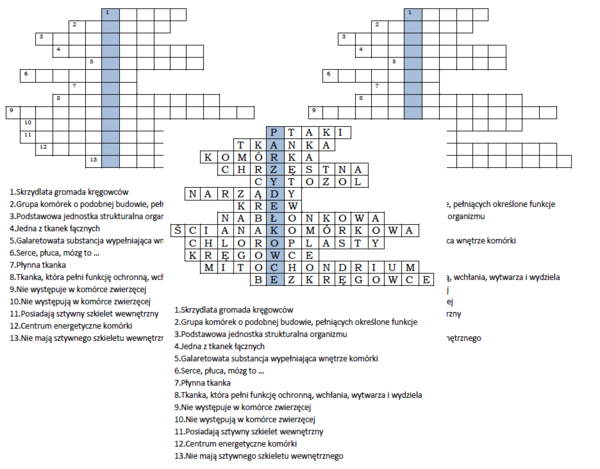 Logogryf dla klasy 6 jako wprowadzenie do lekcji o parzydełkowcach