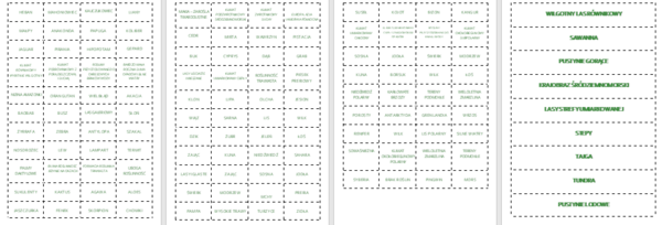 KRAJOBRAZY KULI ZIEMSKIEJ - UKŁADANKA