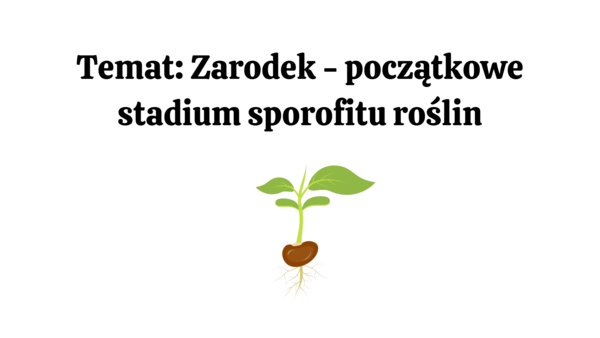 nasiono + korzeń KLASA 2 BIOLOGIA ROZSZERZONA
