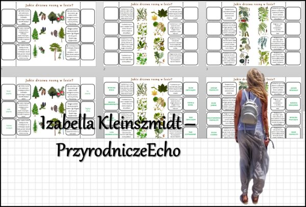 Notatki okienkowe/stacje zadaniowe/notatki/notatki graficzne/karty pracy/sketchnotki „Jakie drzewa rosną w lesie?” w pdf. - Przyroda 4, dział „Odkrywamy tajemnice życia w wodzie i na lądzie”.