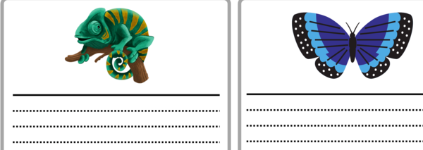 Opisz to! - karty do ćwiczenia opisu