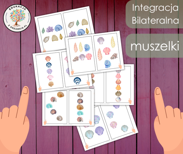 Integracja bilateralna - muszelki