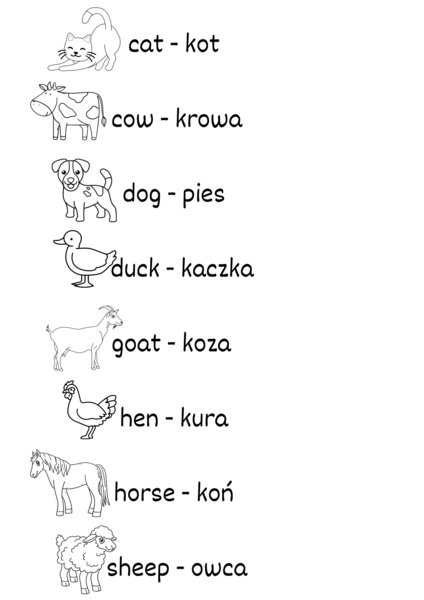 Bugs Team 2 Słowniczek do zeszytu dla ucznia