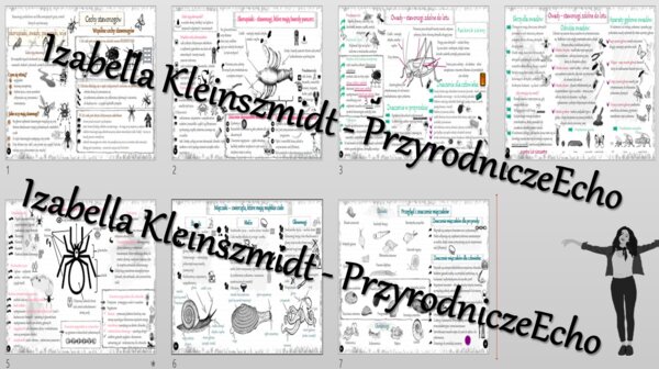 Zestaw sketchnotek – notatek do całego działu „Stawonogi i mięczaki” wykonanych w power point do edycji. Biologia 6