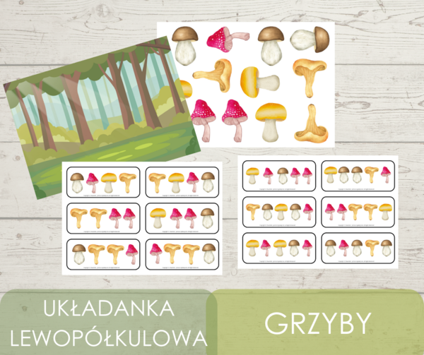 Układanka lewopółkulowa - grzyby