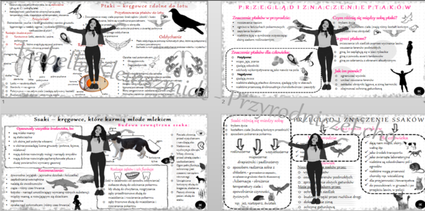 Zestaw sketchnotek – notatek do całego działu „Kręgowce stałocieplne” wykonanych w power point do edycji. Biologia 6