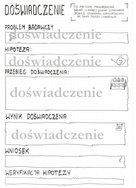 Doświadczenie: karta pracy