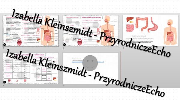 Minizestaw na temat „Budowa i rola układu pokarmowego” – sketchnotka + karta pracy w power point + gratisowy link do prezentacji multimedialnej niekomercyjnej wykonanej w genial.ly do indywidualnego pobrania i użycia do celów niekomercyjnych. Biologia 7,