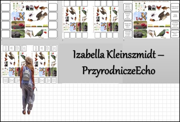 Notatka okienkowa „Znaczenie ptaków” w pdf. Biologia 6 dział „Kręgowce stałocieplne”.