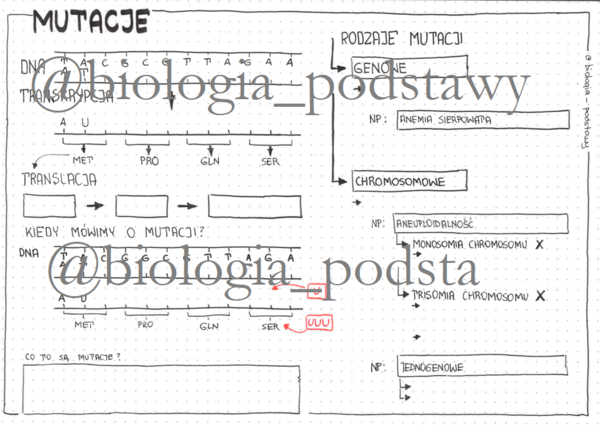 Klasa 8 - Mutacje - karta pracy