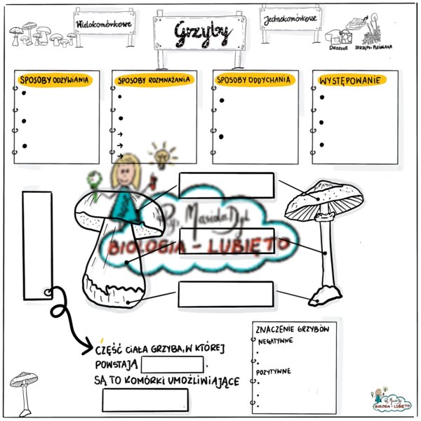 Klasa 5. Grzyby - karta pracy