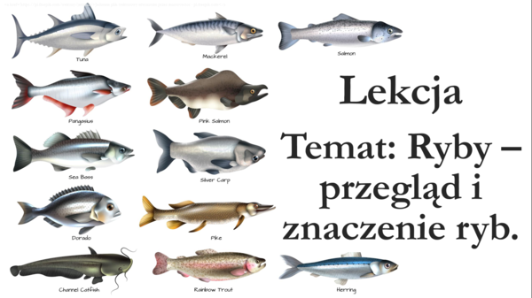 Klasa 6 - Ryby - prezentacja