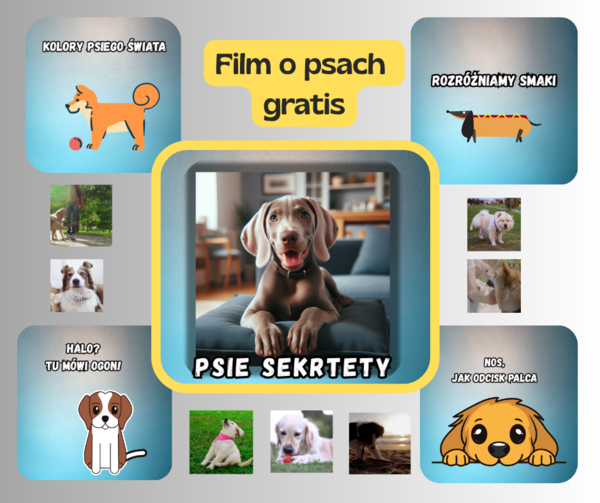 Dzień Kundelka -bezpłatne materiały o psach-film i karty pracy dla młodszych dzieci..