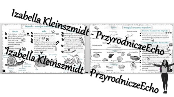 Sketchnotka - notatka „Mięczaki-zwierzęta, które mają muszlę” wykonana w power point do edycji. Biologia 6; „Stawonogi i mięczaki”