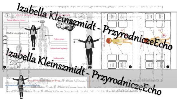 Karta pracy i pomysł/inspiracja na lekcję „Układ nerwowy kontroluje pracę organizmu” - karta pracy wykonana w power point + gratisowy pomysł na lekcję - link do lekcji multimedialnej niekomercyjnej wykonanej w genial.ly do indywidualnego pobrania i użyci