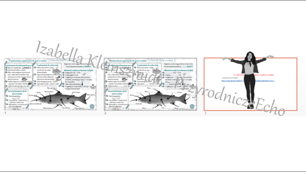 Mini zestaw do tematu „Warunki życia w wodzie” - sketchnotka + karta pracy + gratisowy link do prezentacji multimedialnej niekomercyjnej wykonanej w genial.ly do indywidualnego pobrania i użycia do celów niekomercyjnych. Przyroda klasa 4, dział VIII „Odk