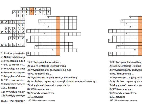 Wprowadzenie do tematu o uzależnieniach- logogryf dla kl. 4 na lekcję przyrody