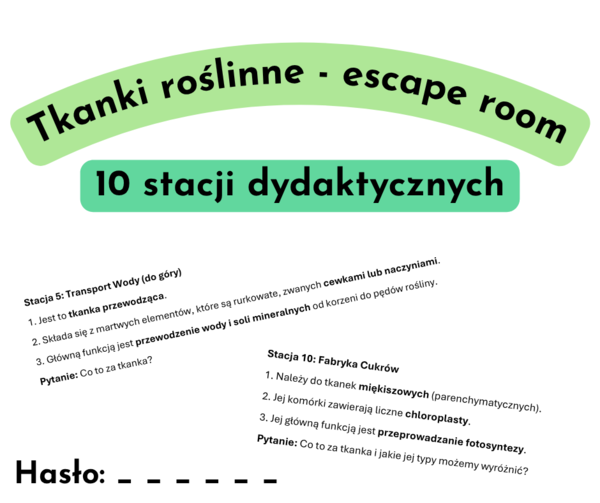 Tkanki roślinne - escape room / stacje dydaktyczne
