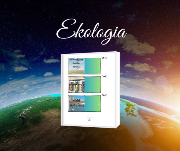 Gra dydaktyczna „Memory – ekologia”
