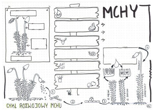 Mchy klasa 5 - Biologia KP