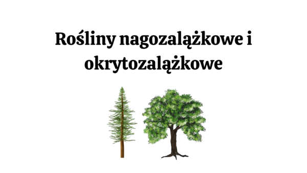 nagozalążkowe + okrytozalążkowe 2 KLASA BIOLOGIA ROZSZERZONA