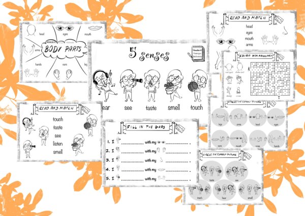 TIGER & FRIENDS 1 Unit 2 Body parts, five senses