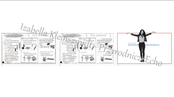 Mini zestaw do tematu „Na polu” - sketchnotka + karta pracy + gratisowy link do prezentacji multimedialnej niekomercyjnej wykonanej w genial.ly do indywidualnego pobrania i użycia do celów niekomercyjnych. Przyroda klasa 4, dział VIII „Odkrywamy tajemnic