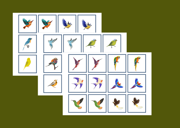 DZIEŃ PTAKÓW – wiosna - memory – 36 szt.