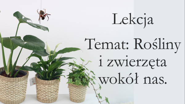Klasa 4 - Rośliny i zwierzęta wokół nas - prezentacja